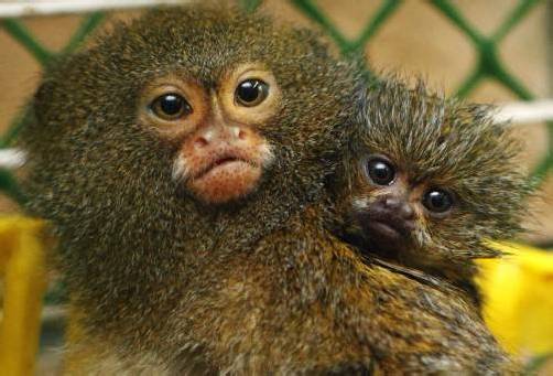   FOTO: REUTERS